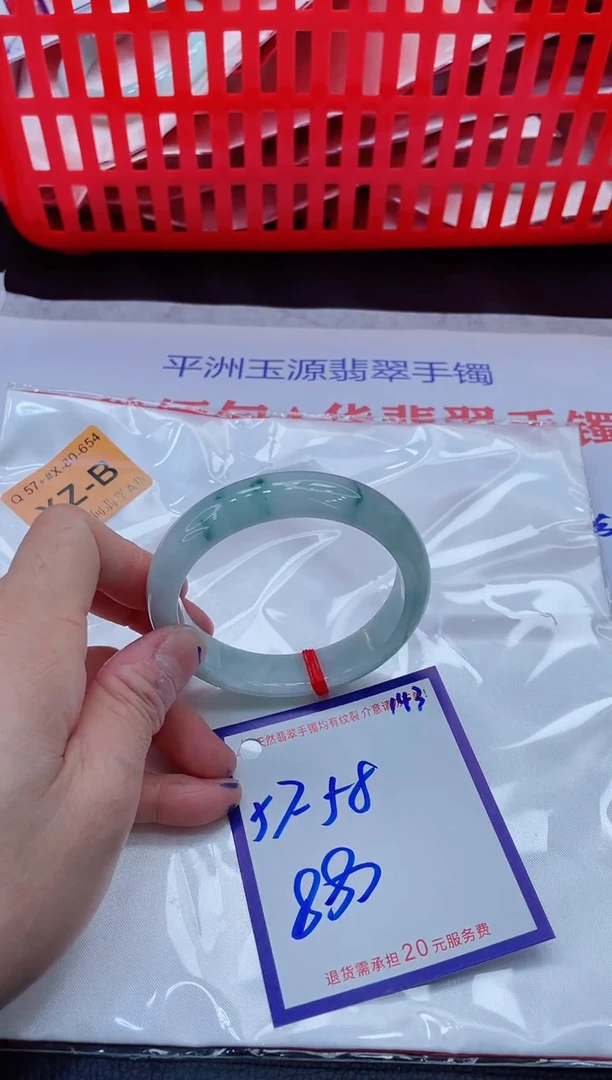 未镶嵌手镯翡翠11111111