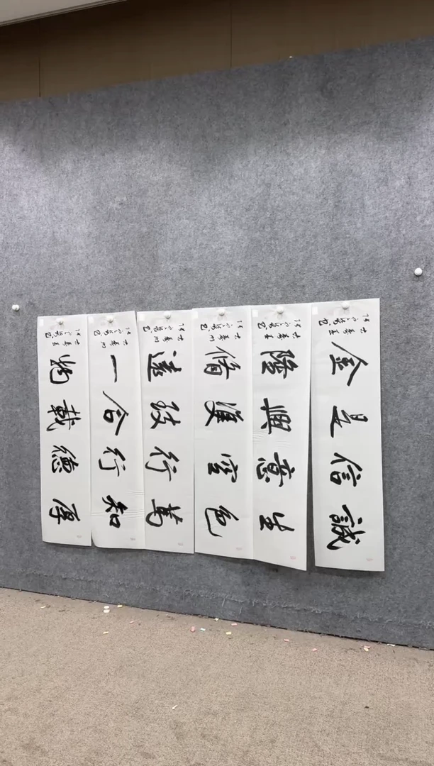 【闪购商品】书法pmw不二轩旗舰店书法ZDQ35