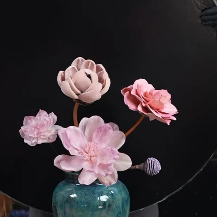 直播间宠粉福利【蝶】通草花干花永生花不含瓶只有花材包邮