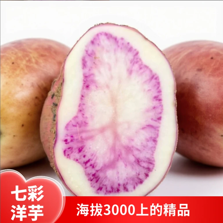 云南七彩洋芋花心洋芋丽江紫洋芋红心土豆辅食首选