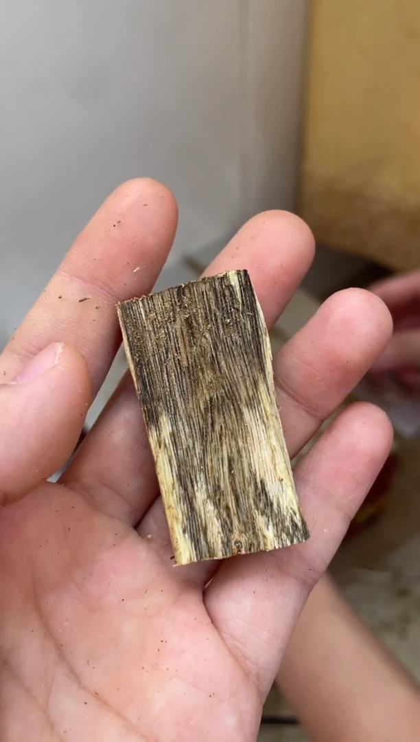 【闪购商品】沉香木沉香碎屑棋楠沉香 原料文创1