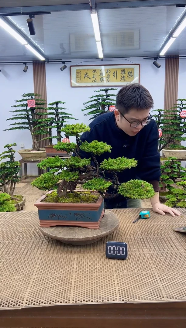 无花朵00000000000000