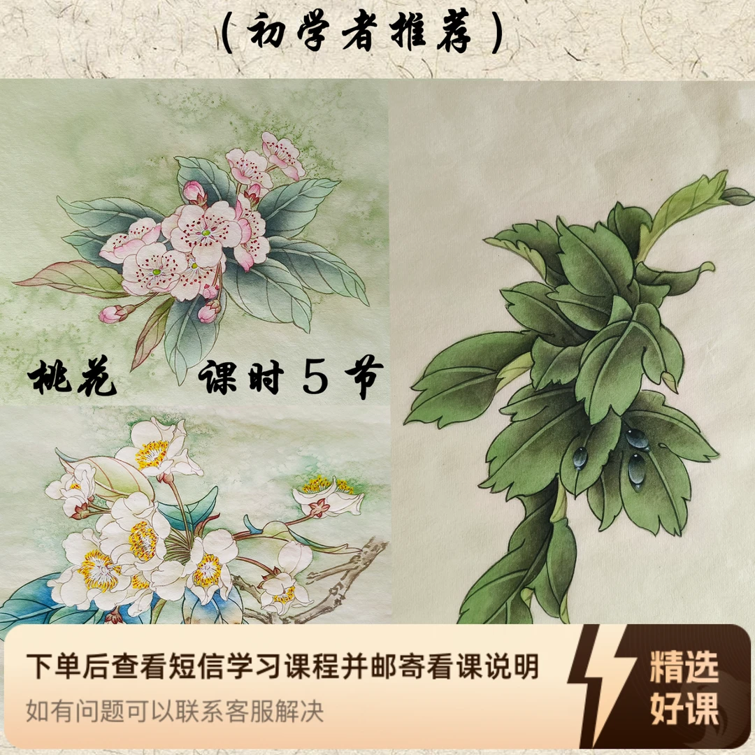 于健康工笔画·花篇—《桃花/梨花/牡丹叶子》(留意短信解锁课程)