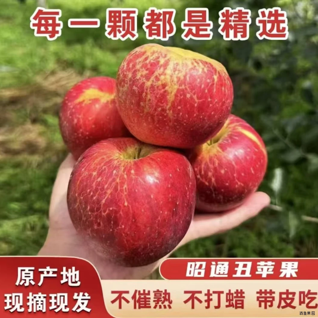云南昭通丑苹果新鲜水果昭通冰糖心丑苹果新鲜苹果,原产地直发