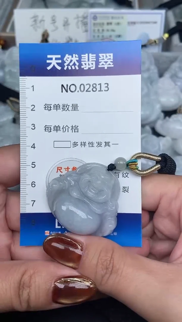 颈饰未镶嵌翡翠纯天然A货翡翠2813