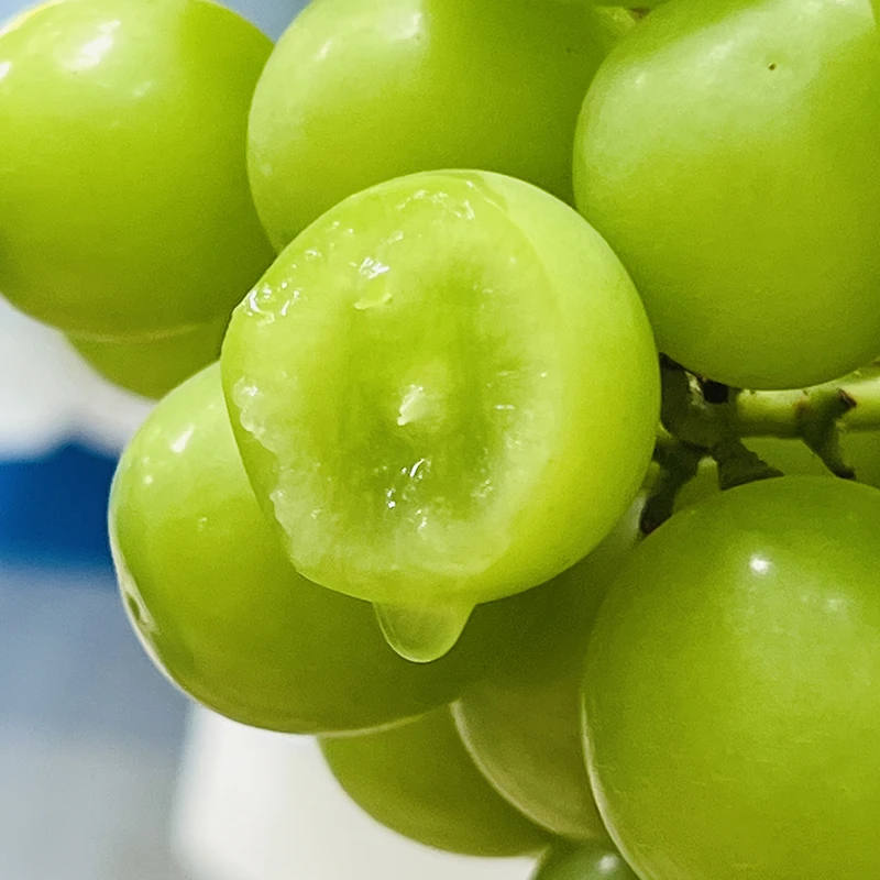 四川阳光玫瑰葡萄3斤*1箱 脆甜无籽 顺丰直发 坏果包赔