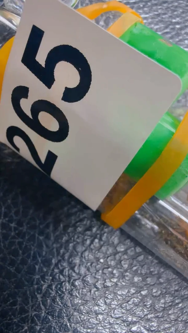 蚂蚁工坊265号墨