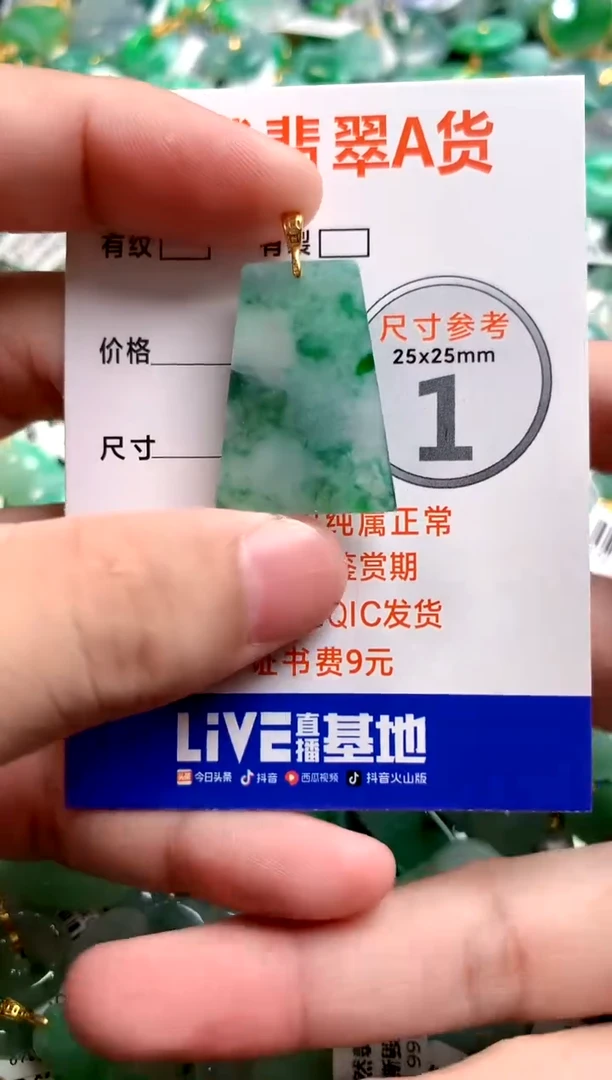 颈饰18K金镶嵌翡翠14004820
