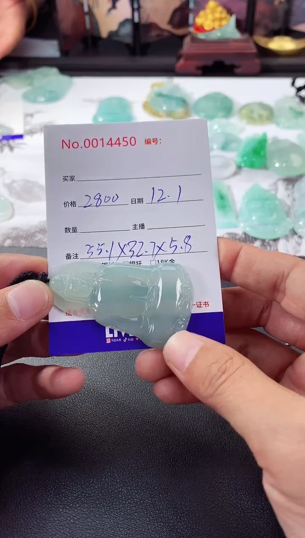颈饰未镶嵌翡翠素衣