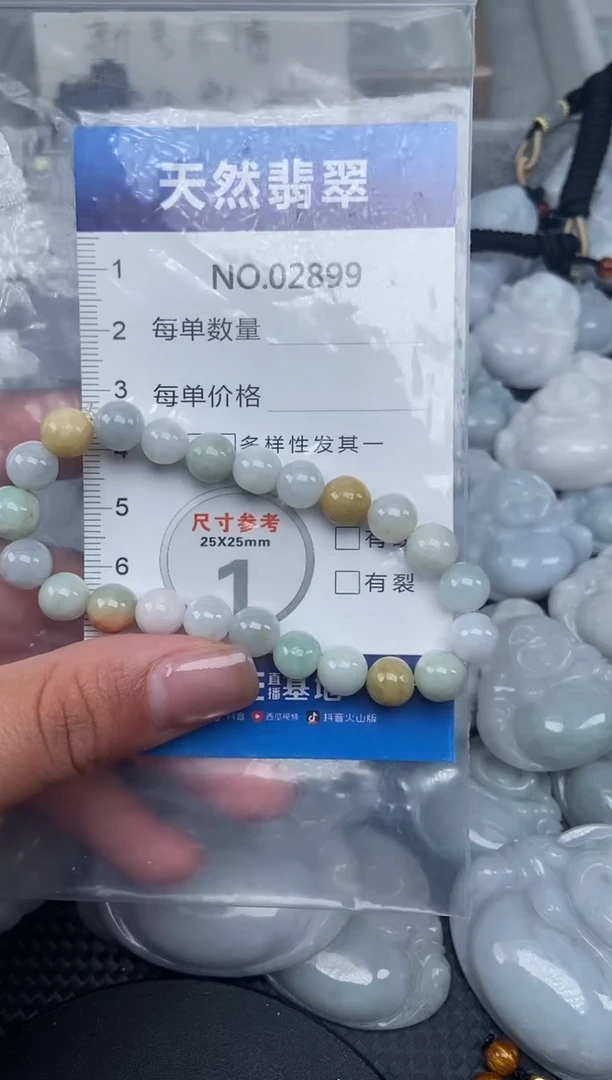 颈饰未镶嵌翡翠纯天然A货翡翠2899