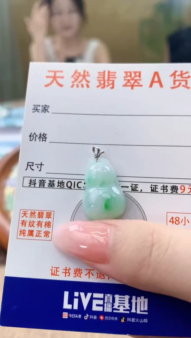 颈饰未镶嵌翡翠天然A货翡翠挂件