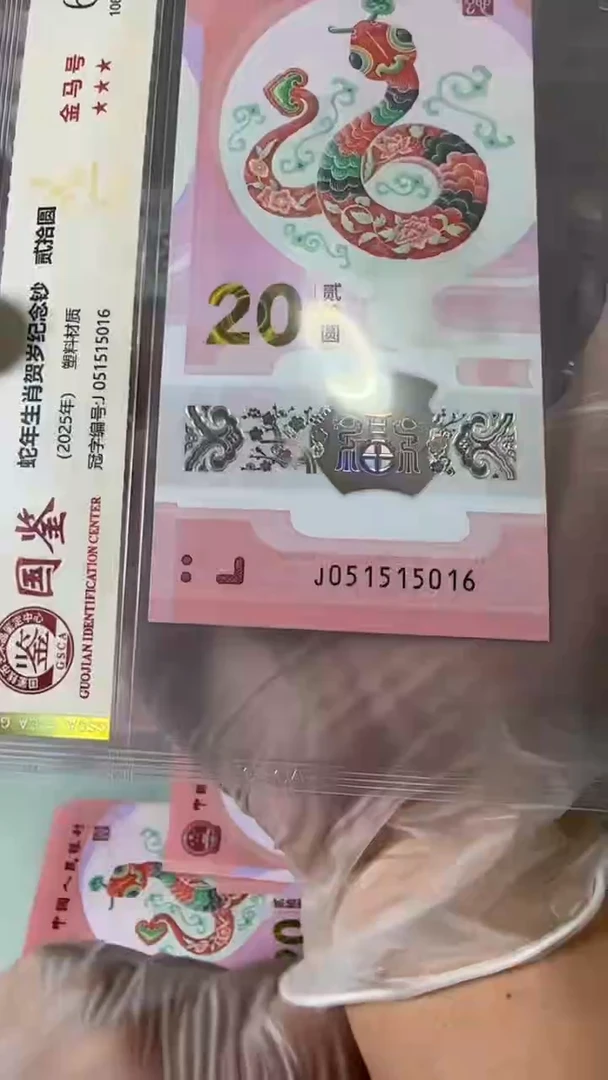【闪购商品】塑料051515016-蛇钞单张！