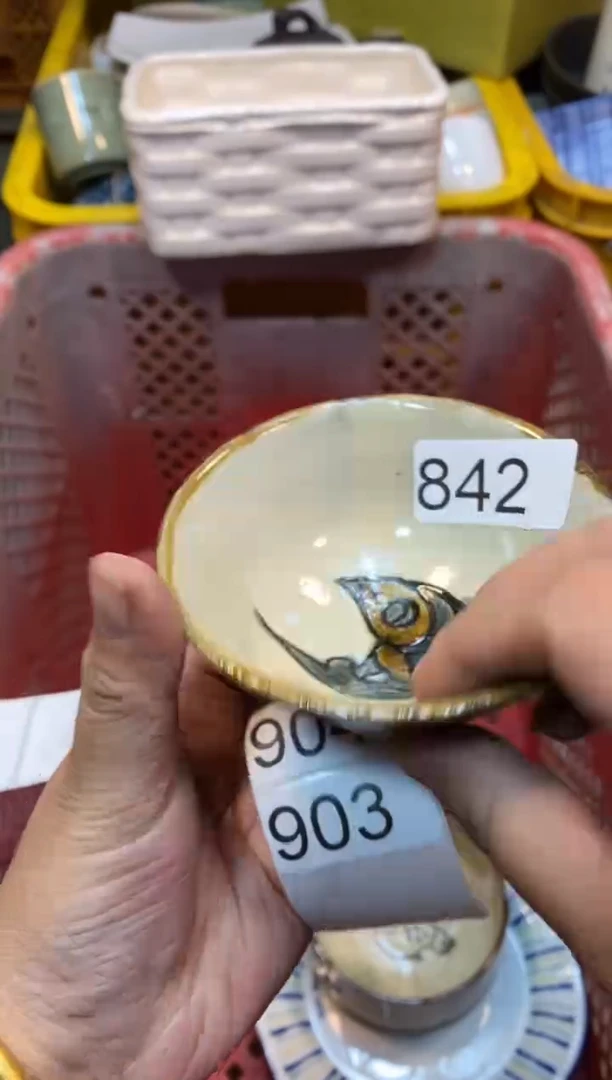 瓷片55555555555555555