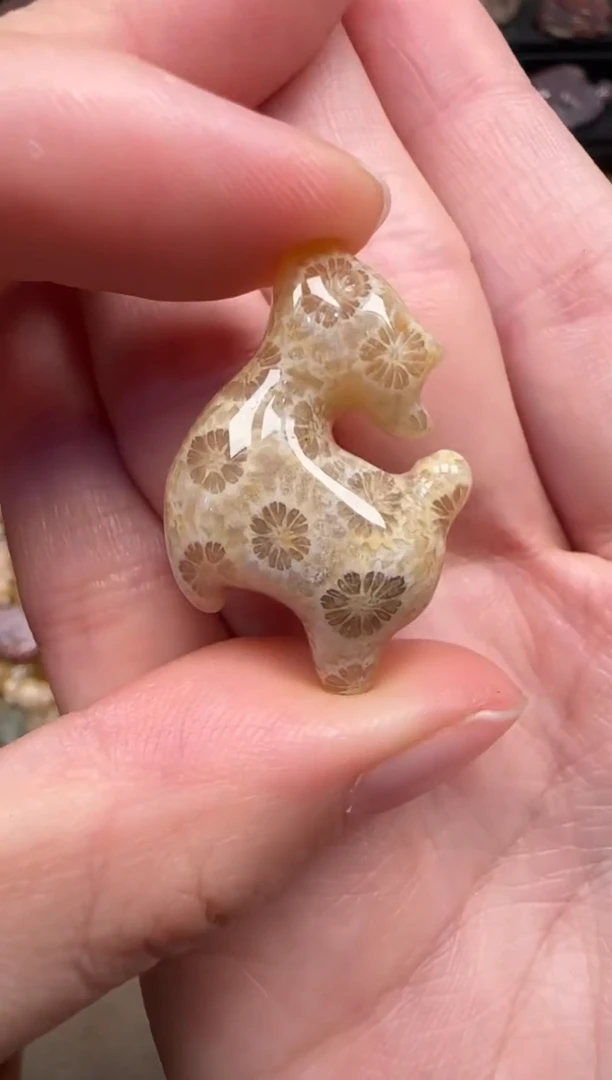 颈饰未镶嵌硅化珊瑚（珊瑚玉）215