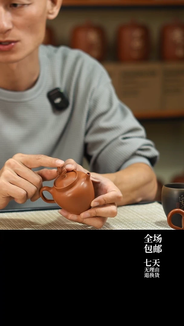 云水山涧建水紫陶微瑕 太湖石扭 复烧素壶   012