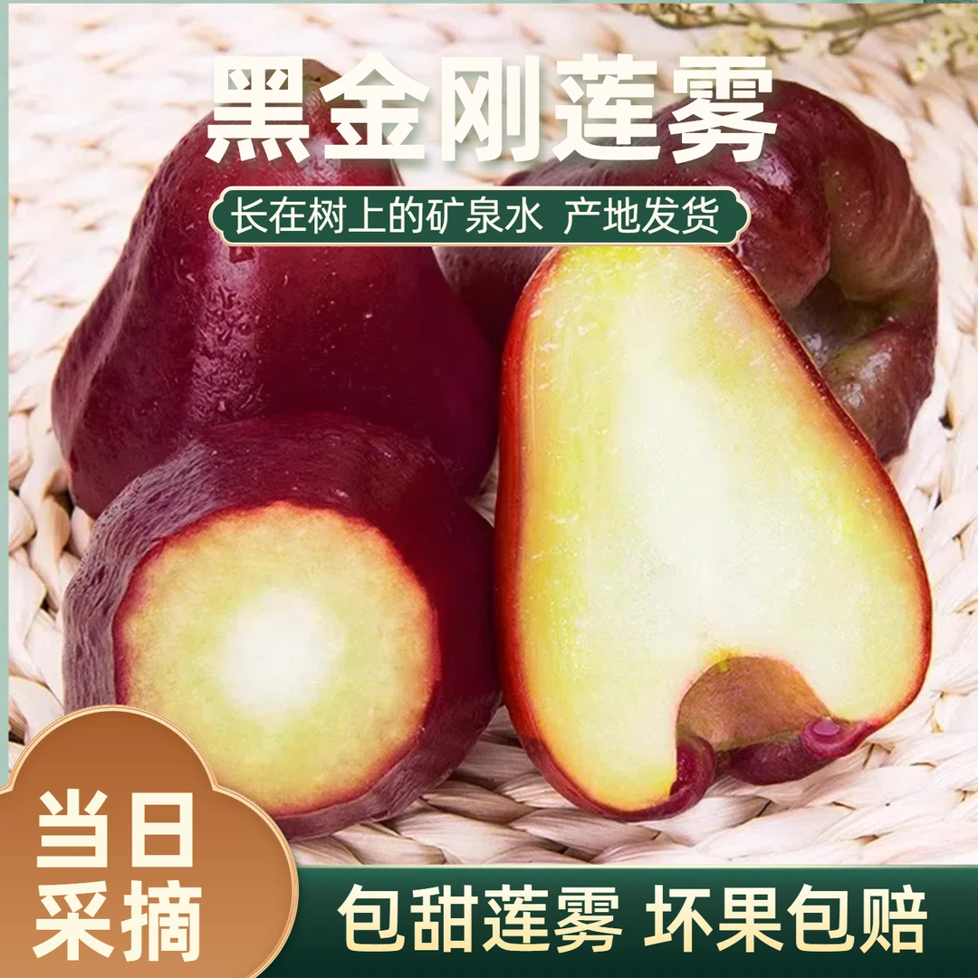 【京东空运】海南黑金刚莲雾新鲜热带水果清甜多汁现摘现发孕妇水果