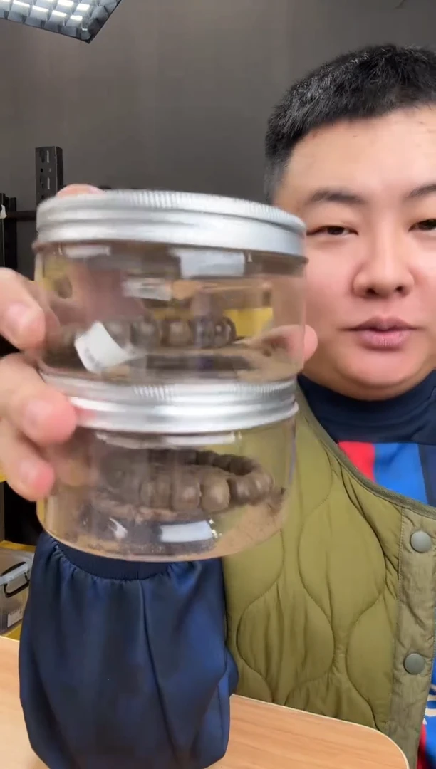 檀香木手串/手链阴沉老山檀