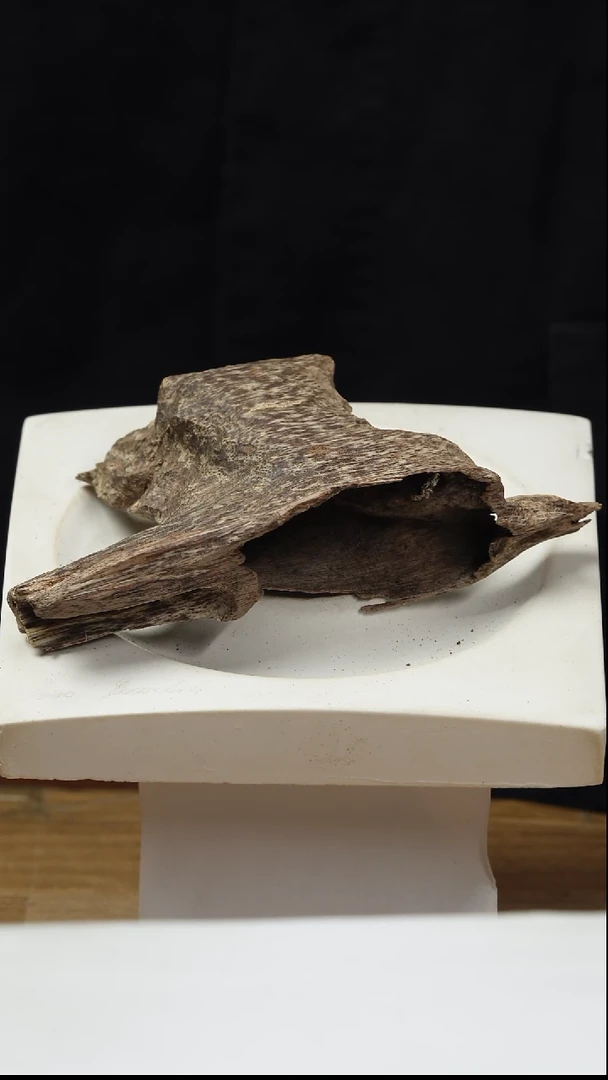 沉香沉香碎屑E2-越壳熏香料，重10克