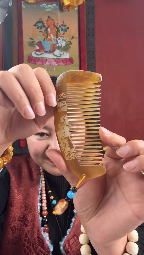 无非金属藏地数子