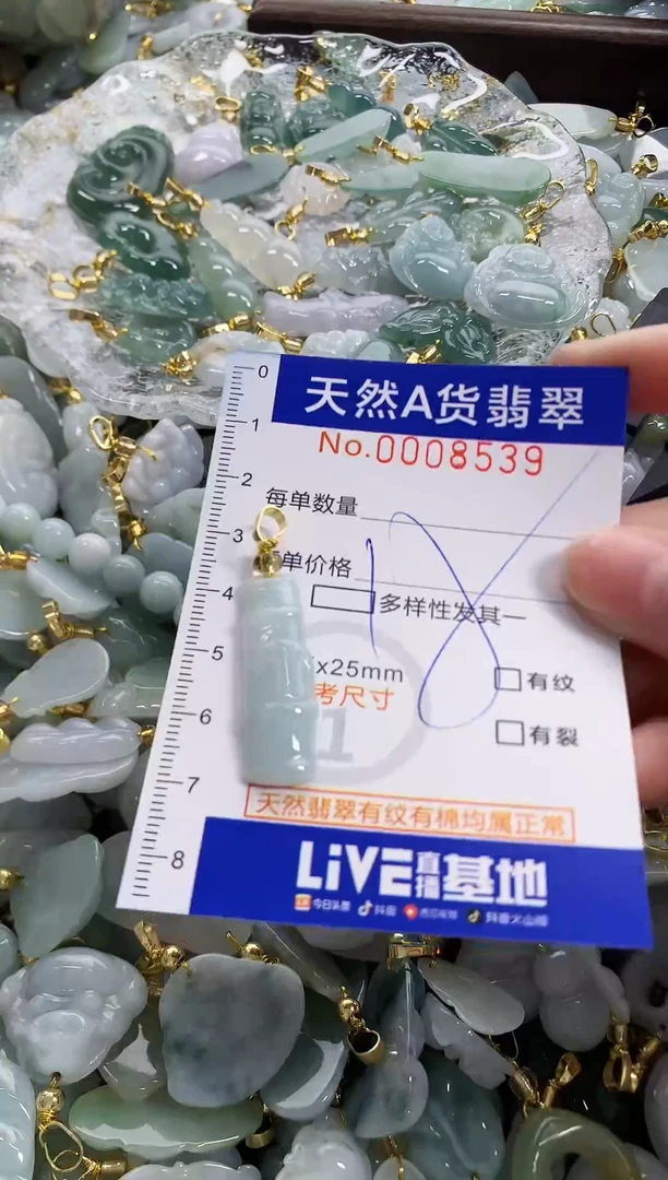 颈饰未镶嵌翡翠天然A货翡翠