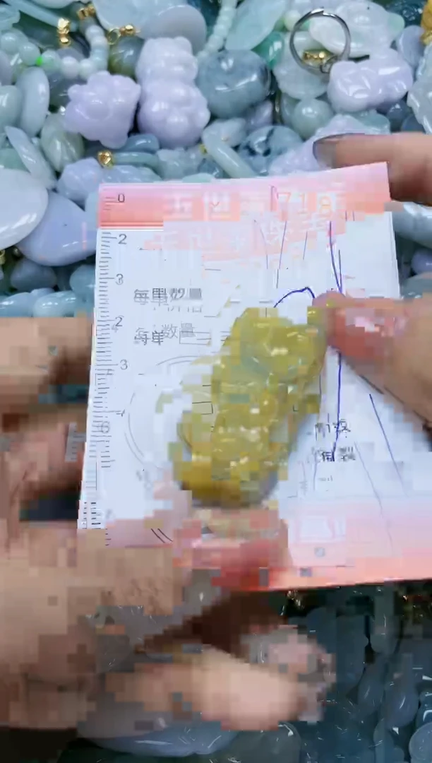 【闪购商品】翡翠颈饰未镶嵌闪购0171083