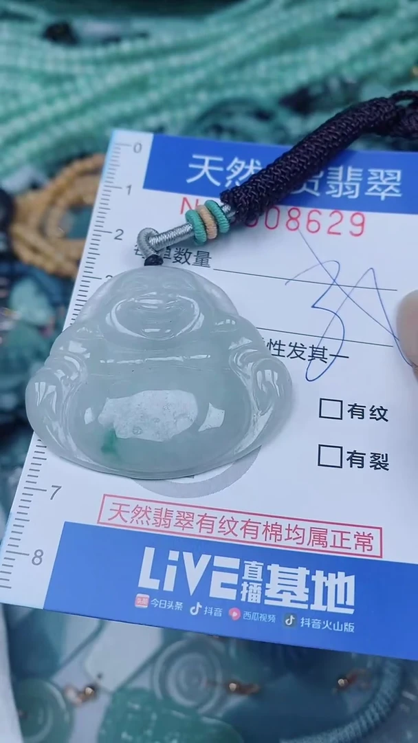 翡翠未镶嵌颈饰00008629