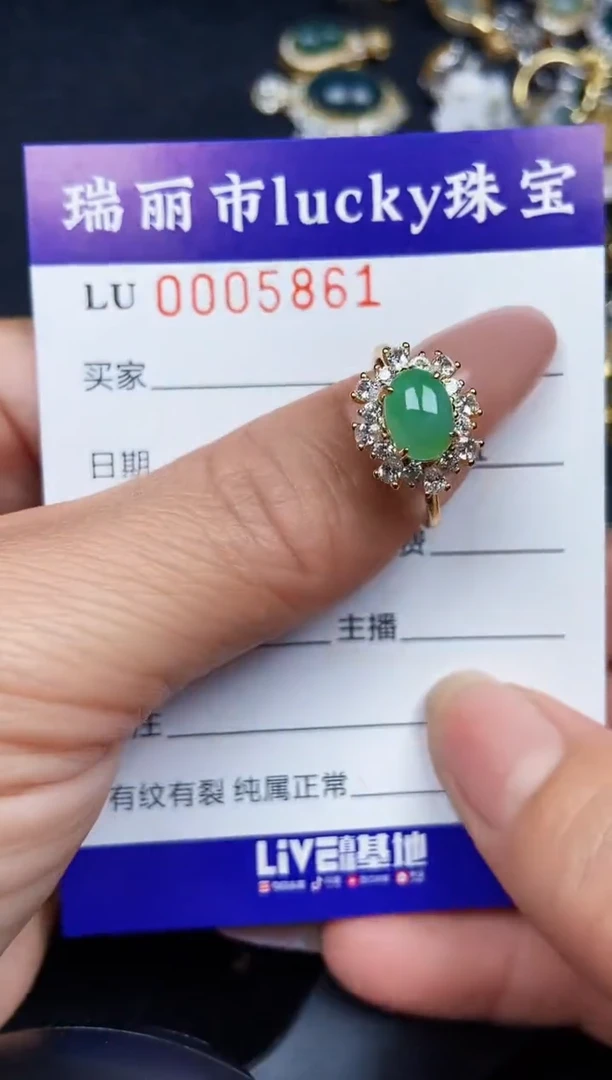 翡翠银S925镶嵌颈饰5861