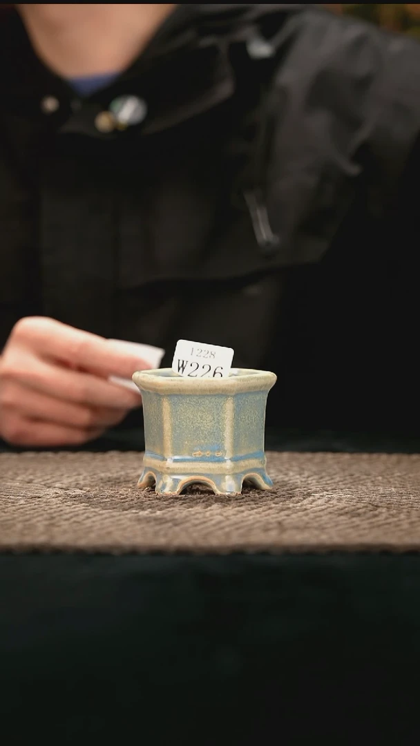 12-28-226花盆口径4.5