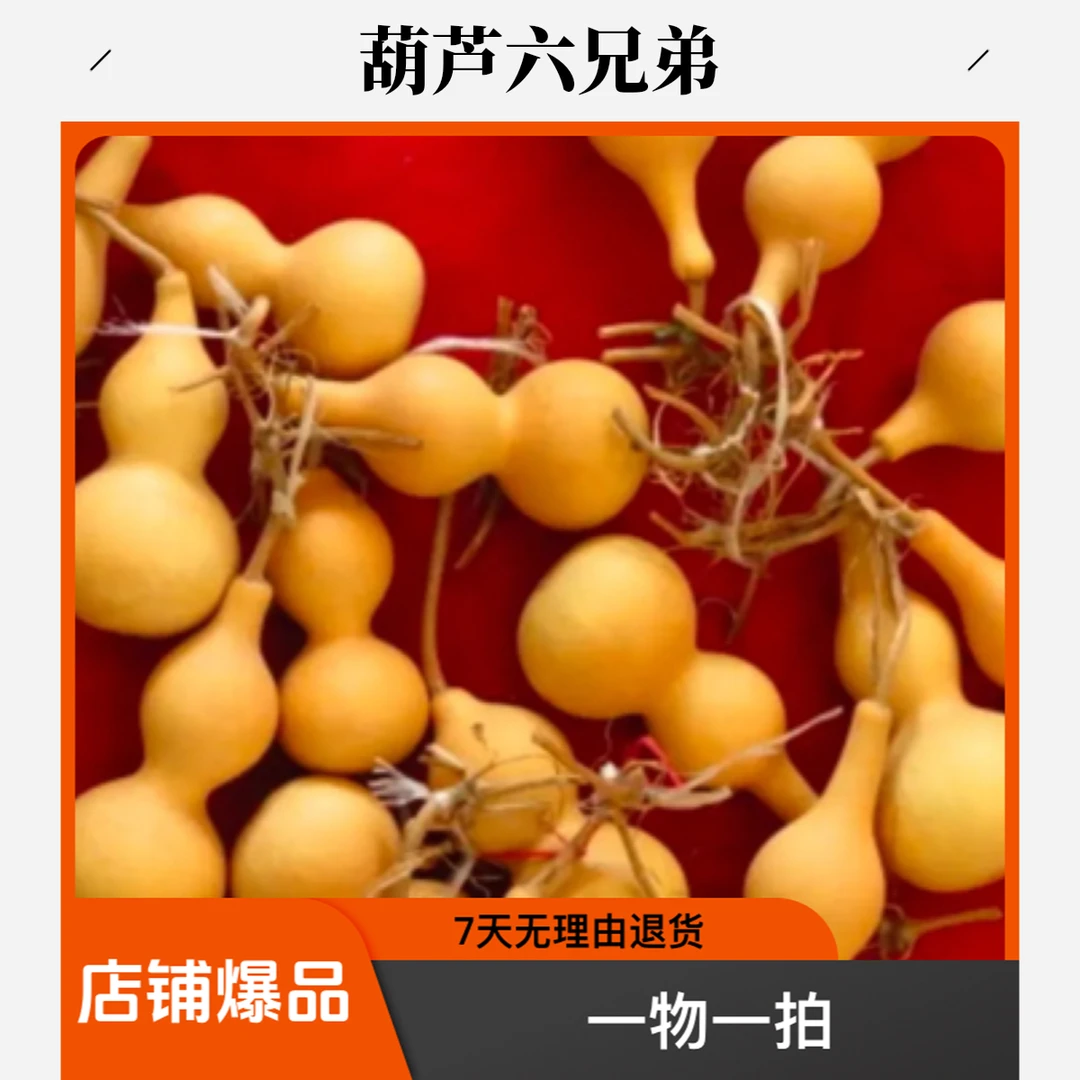 《葫芦六兄弟》直播间一物一拍链接（8~25）葫芦摆件 请勿私下去拍！