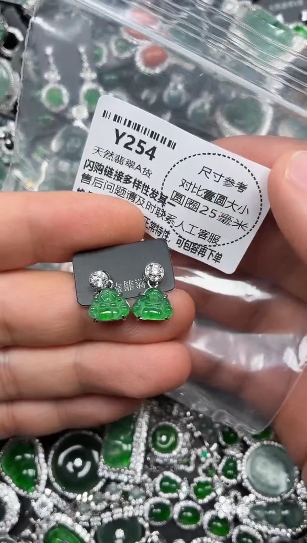 颈饰未镶嵌翡翠Y254耳钉