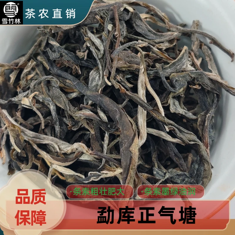 【雪竹林】云南普洱茶勐库正气塘古树茶气强烈香气浓郁持久耐泡茶叶