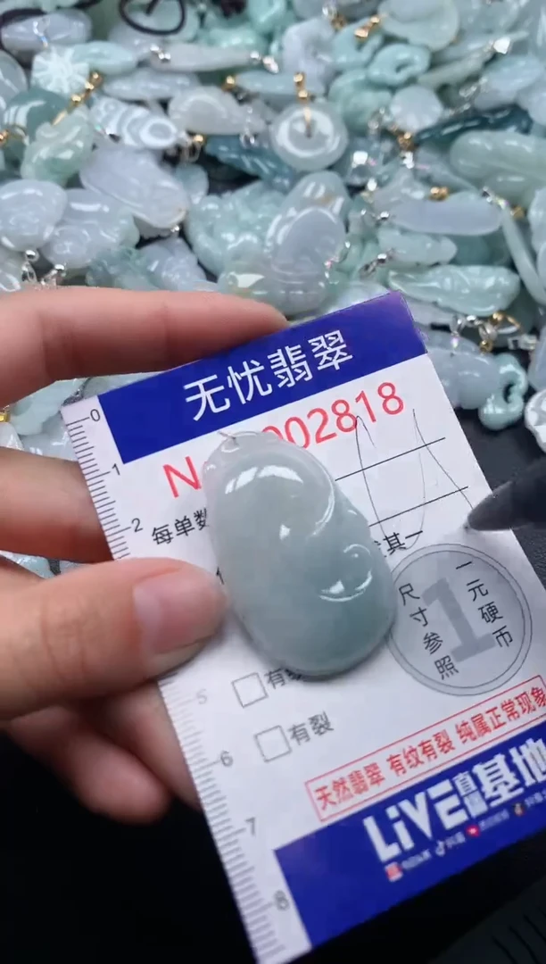 吊坠(不含链)未镶嵌翡翠2818