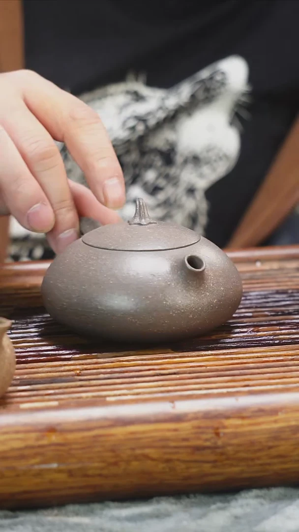 茶壶紫砂大水潭天青及金沙茄瓜