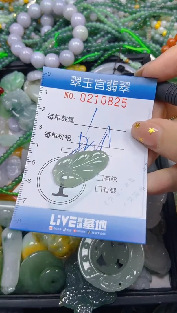 颈饰未镶嵌翡翠闪购C0210825多样性发其一