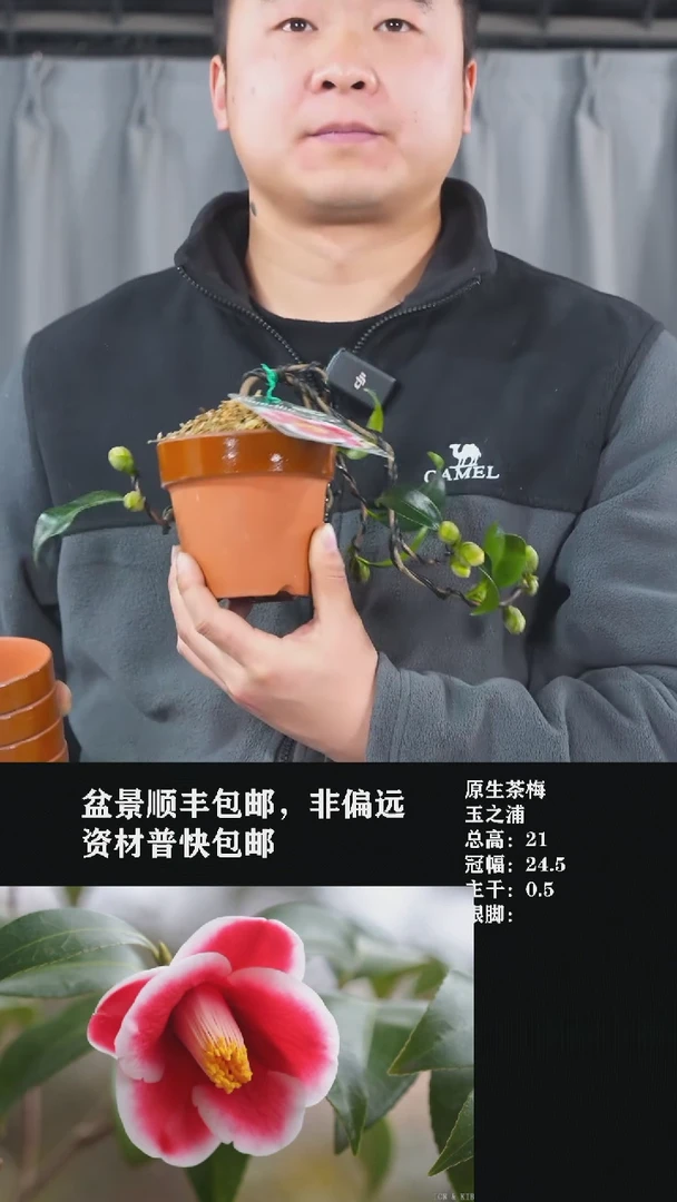 【闪购商品】-玉之浦-U53