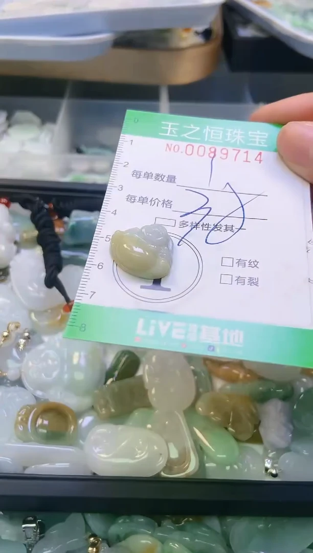 翡翠未镶嵌颈饰闪购0089714