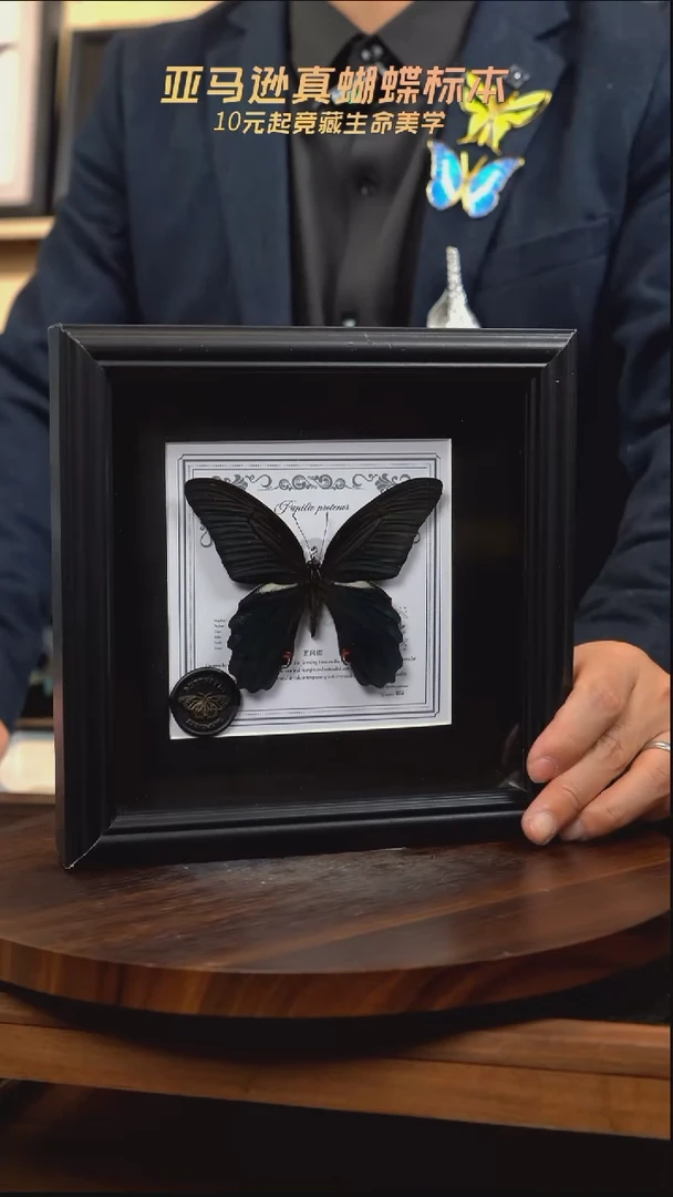 蓝凤蝶盲盒款7寸方框