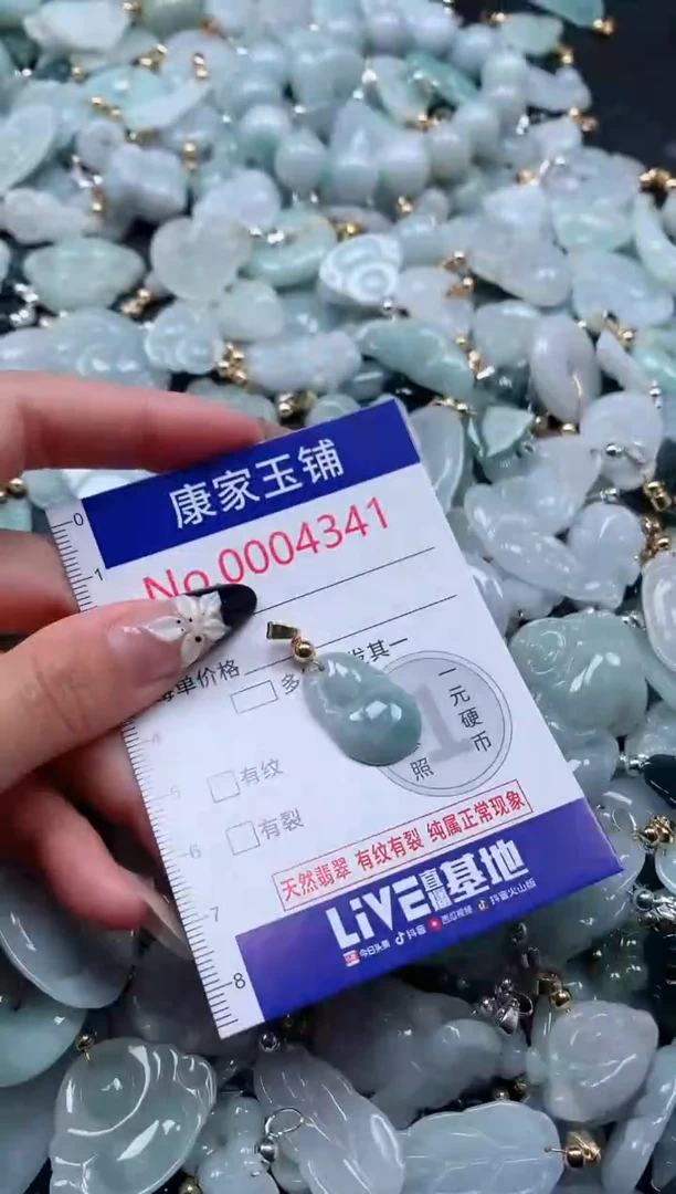 颈饰未镶嵌翡翠4341