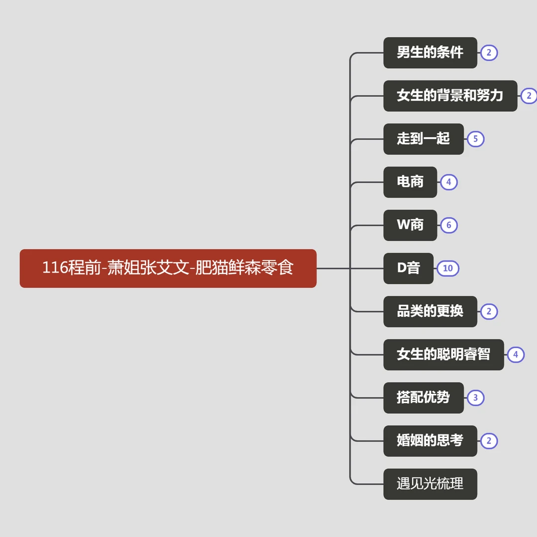 【非纸质】程前访谈肥猫鲜森零食萧姐张艾文学习总结文档含思维导图
