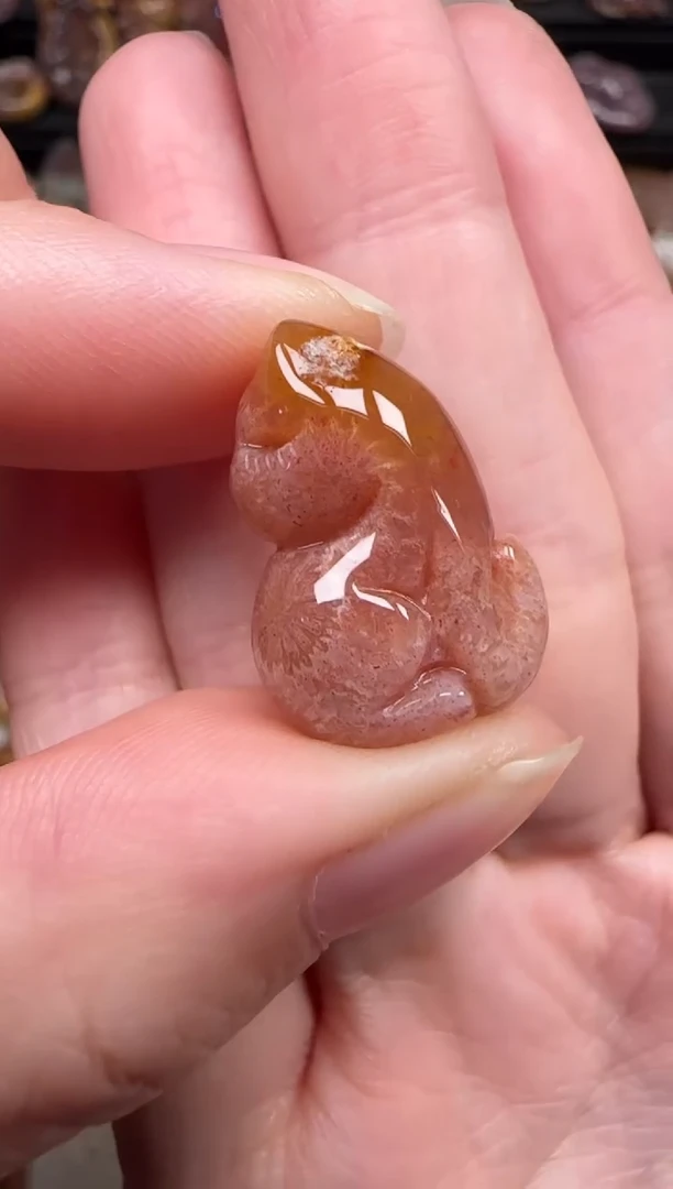 颈饰未镶嵌硅化珊瑚（珊瑚玉）378