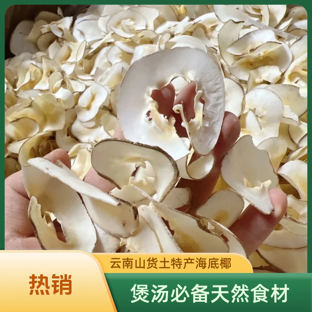 云南山货土特产海底椰 250克 非百合