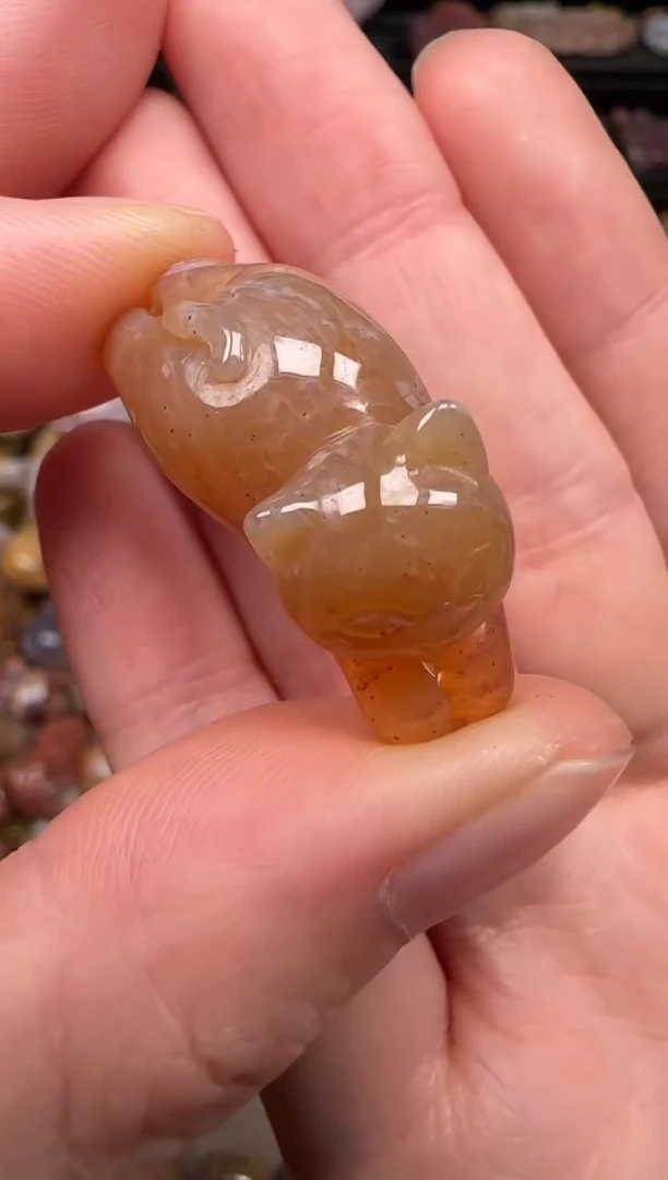 硅化珊瑚（珊瑚玉）未镶嵌颈饰558