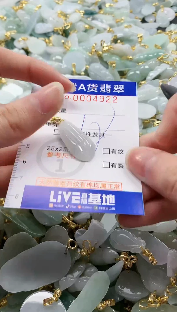 颈饰未镶嵌翡翠纯天然a货翡翠