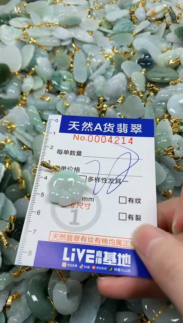 颈饰未镶嵌翡翠纯天然a货翡翠