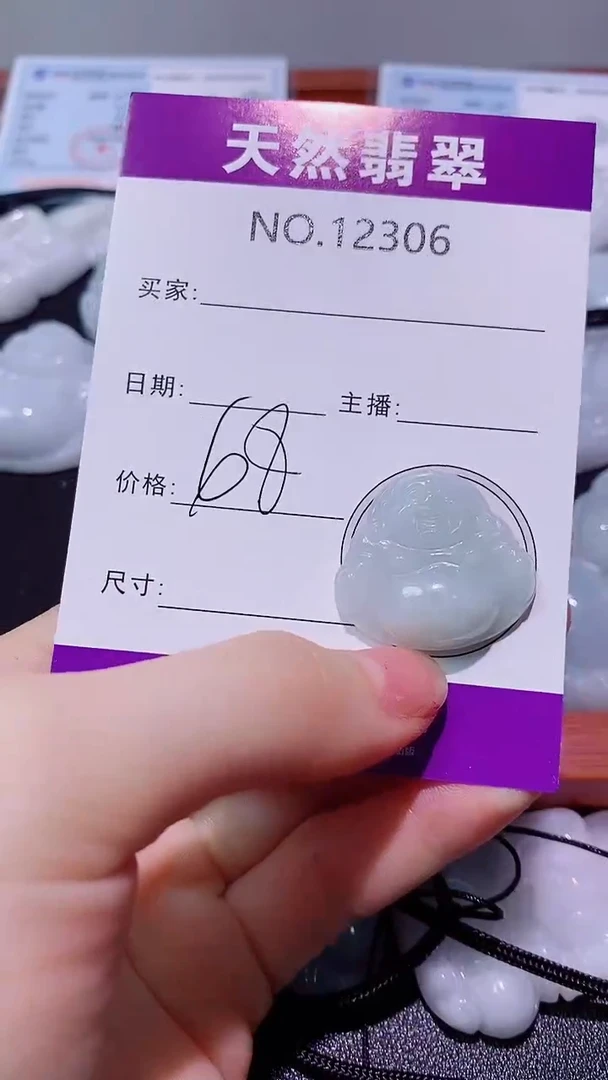 翡翠未镶嵌吊坠(赠链)306