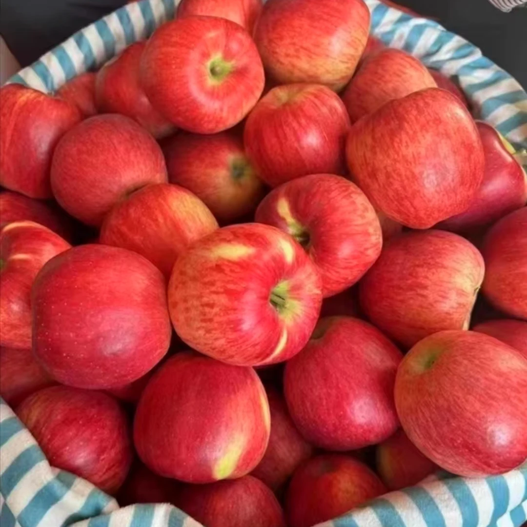 新疆发货顺丰包邮正宗新疆樱桃小苹果当季新鲜水果脆甜爽口整箱装