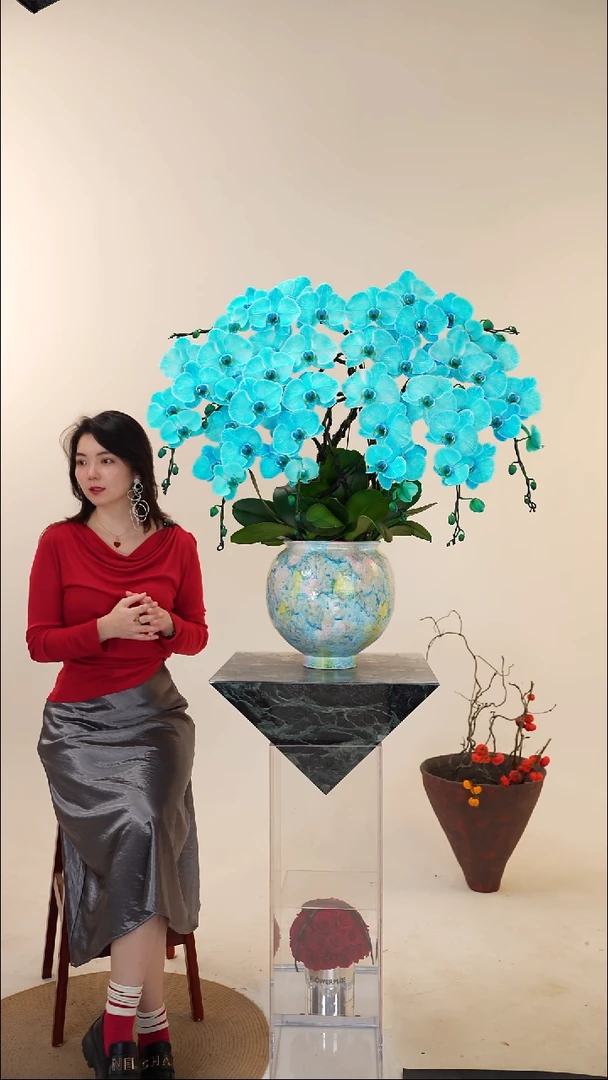 全部花朵010一物一拍蝴蝶兰盆景