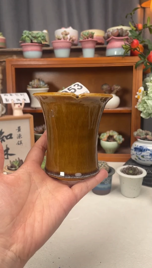 瓷片953知木小芳花盆