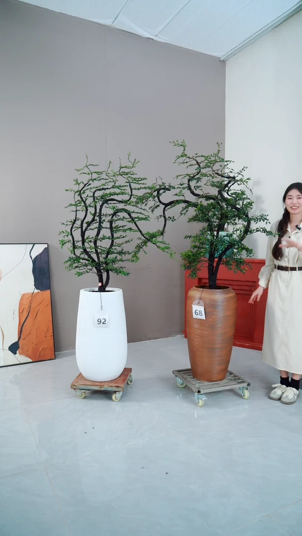 【闪购商品】链接两颗