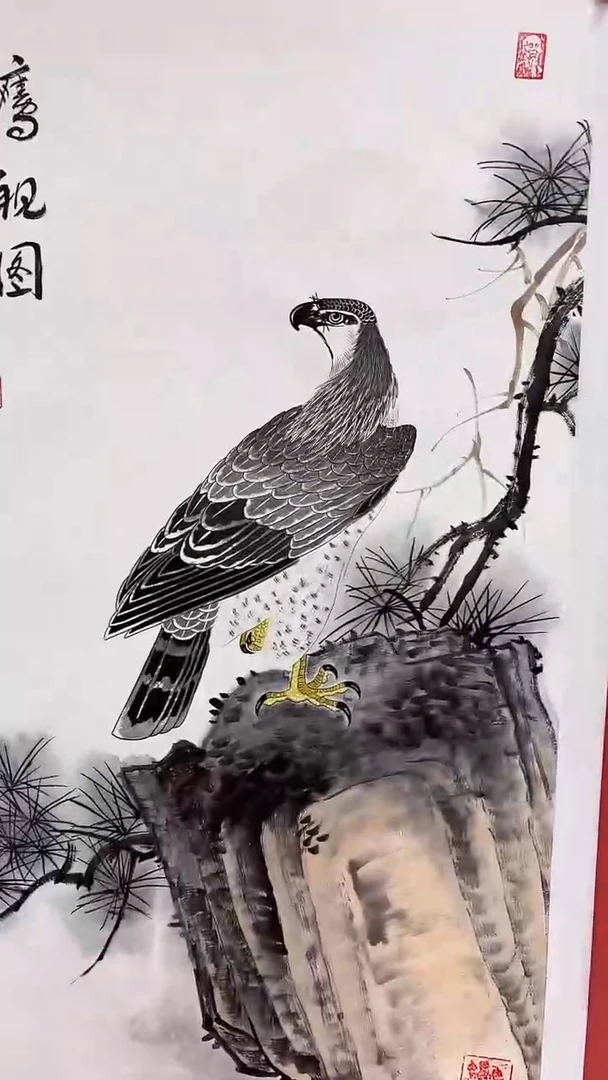 国画鹰视图